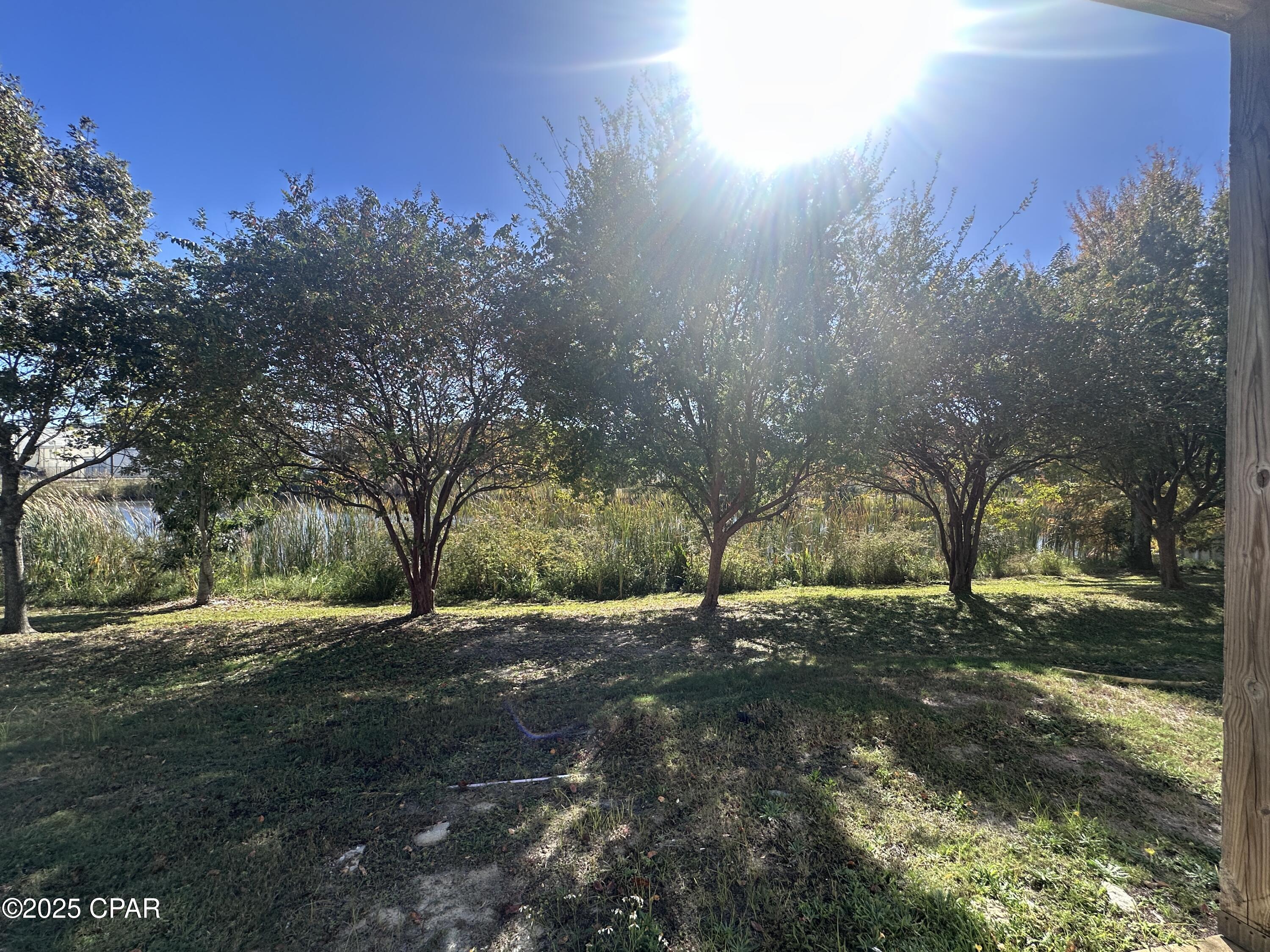 Palm Cove Phase II - Residential