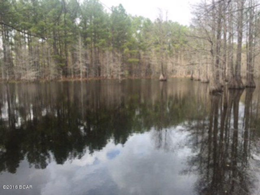 THIS PARTIALLY WOODED, 15.13 ACRE TRACT OFFERS MANY POSSIBLE HOMESITES. PROPERTY FEATURES LARGE FISHING POND WITH AGED CYPRESS TREES, ABUNDANCE OF WILDLIFE AND A LONG PRIVATE DRIVEWAY. THIS PARCEL IS LOCATED JUST OFF CLAYTON RD AND IS LESS THAN A 10 MINUTE DRIVE TO BONIFAY, CHIPLEY AND VERNON. RECENT SURVEY WILL BE PROVIDED TO BUYER.