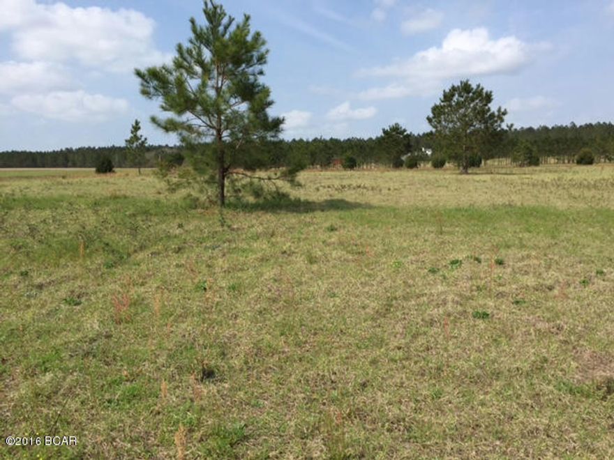 Excellent Location, Location, Location!  This five acre tract is situated on a paved county road, culvert already in place, cleared land between two lovely homes and just waiting for you to make it your next homesite! Easy to view and walk.