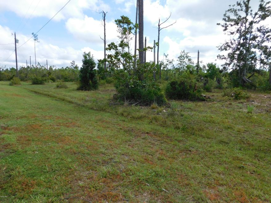 Looking for a larger lot to build your dream home? Check out this lot on the East side of town close to Tyndall and Eastern Shipbuilding with over a half acre of land. This neighborhood does not have an HOA but does have covenants and restrictions. Come by and check it out and bring all offers.