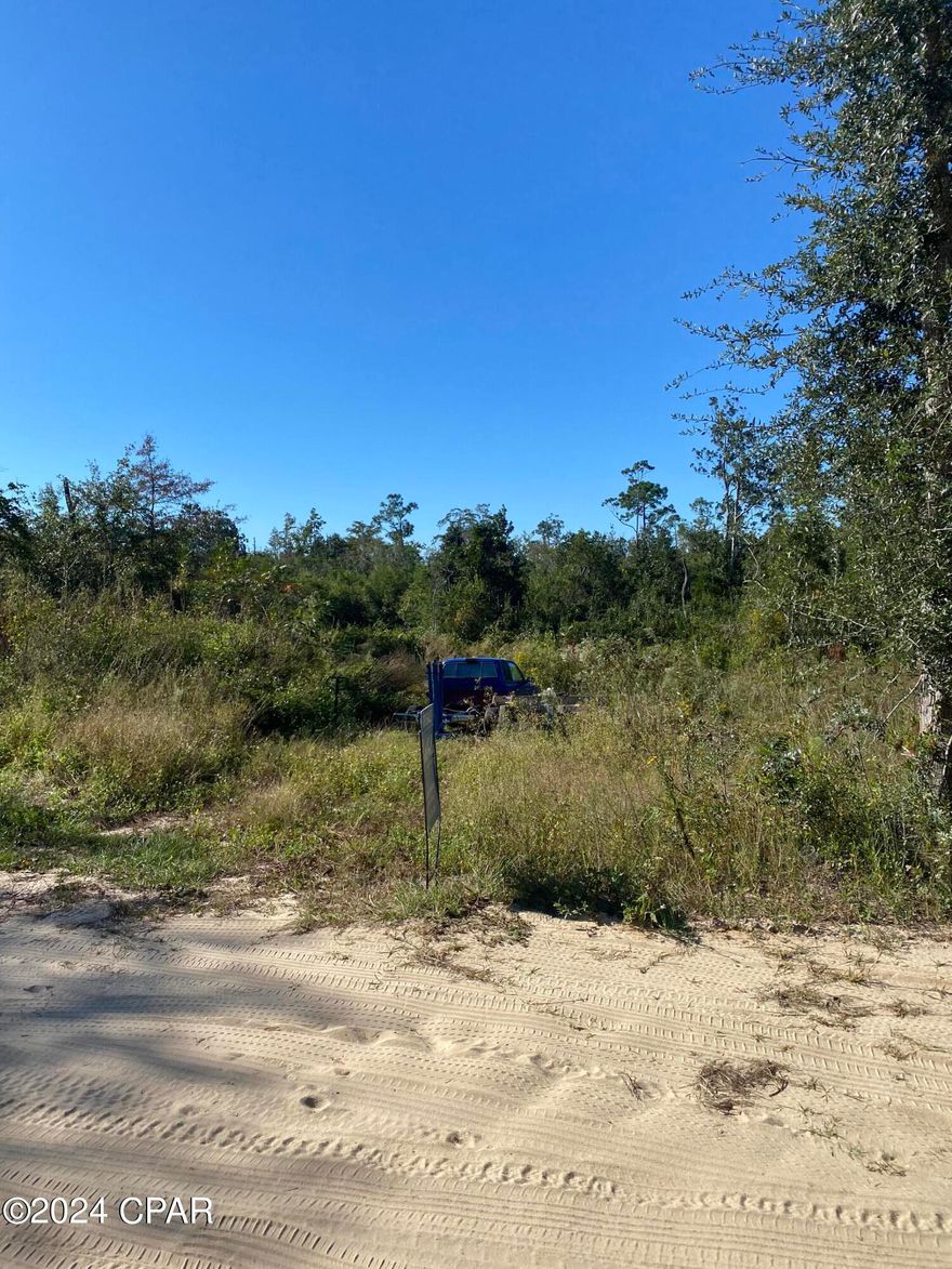 Residential lot located close to a  highway,  offering the perfect blend of tranquility, beatiful  and the opportunity to own a properpy  that is only 30 minutes from the  Beach.  Lot is  Zoned R-2, for your choice of 
 Single -Family or Mobile Home.  
Call now for this great offer.