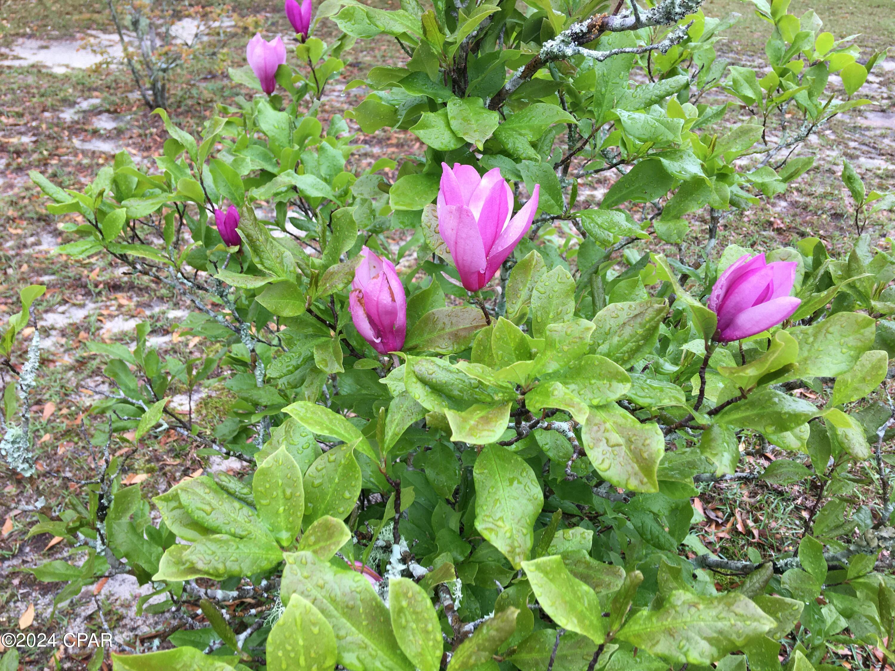 Russ Lake Estates - Residential