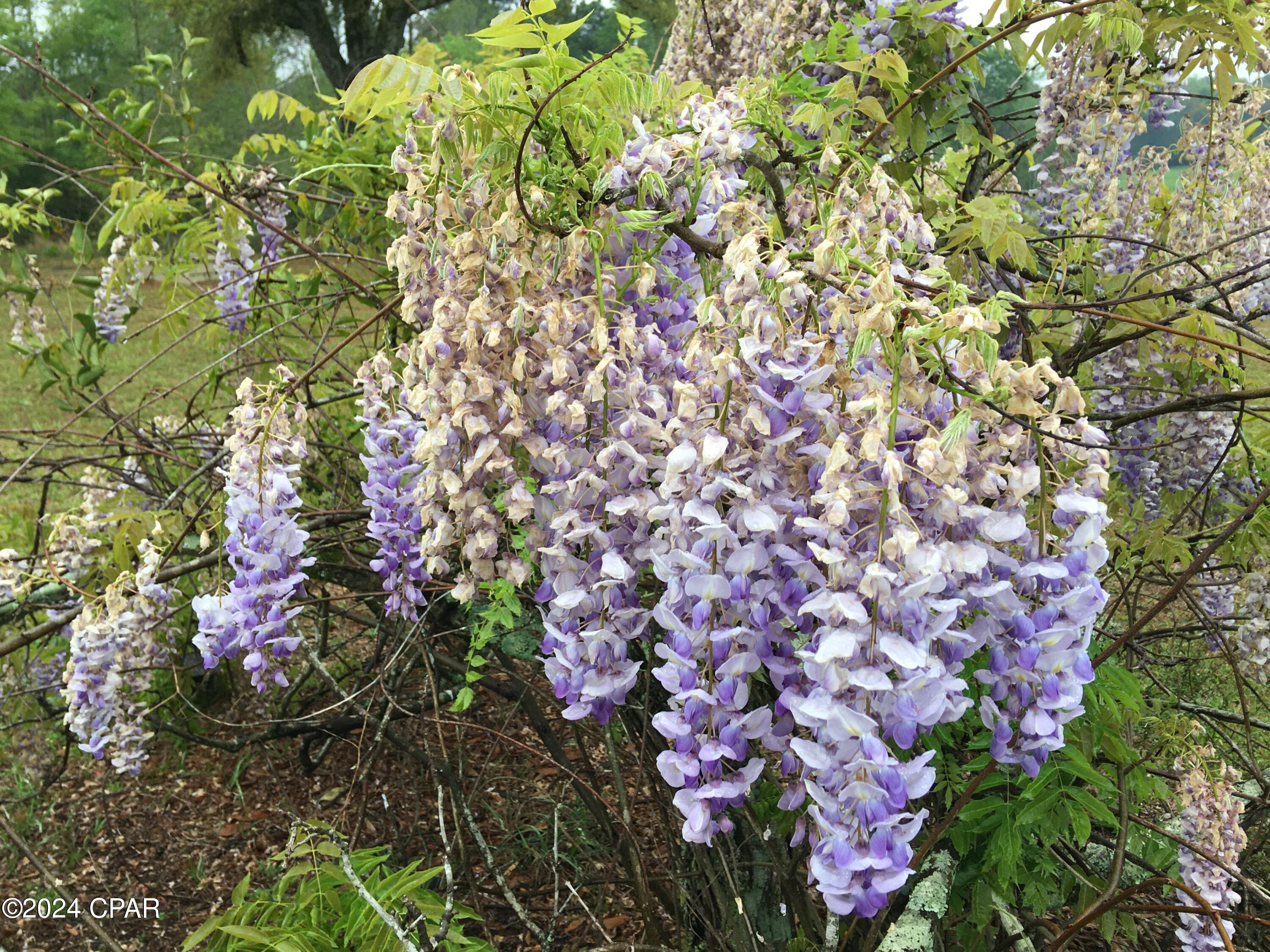 Russ Lake Estates - Residential