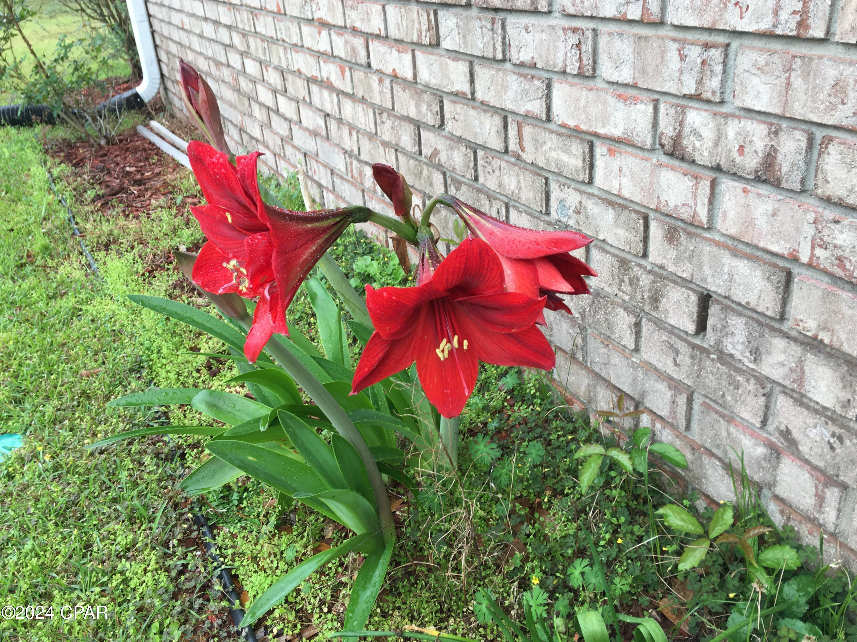 Russ Lake Estates - Residential