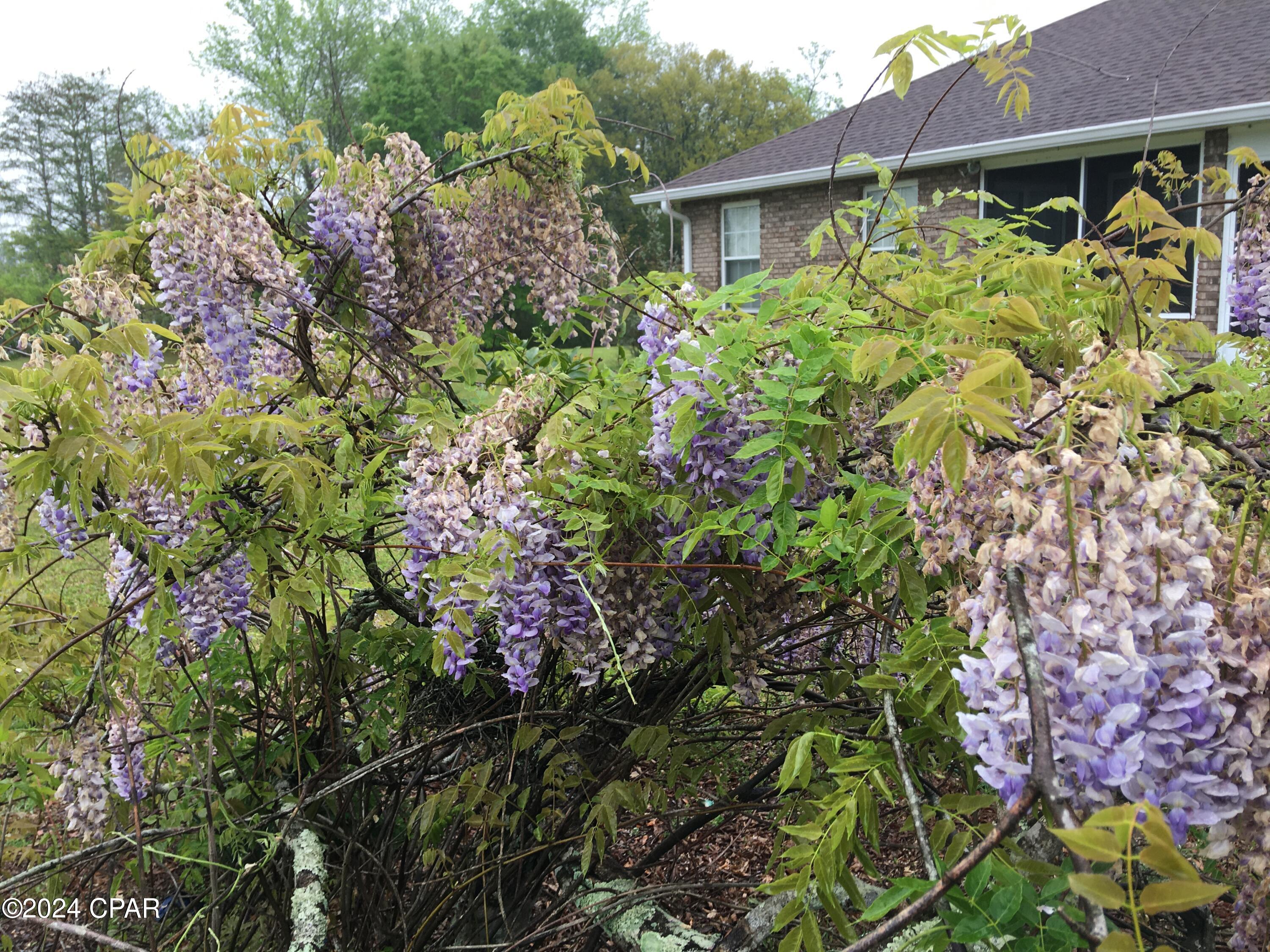 Russ Lake Estates - Residential