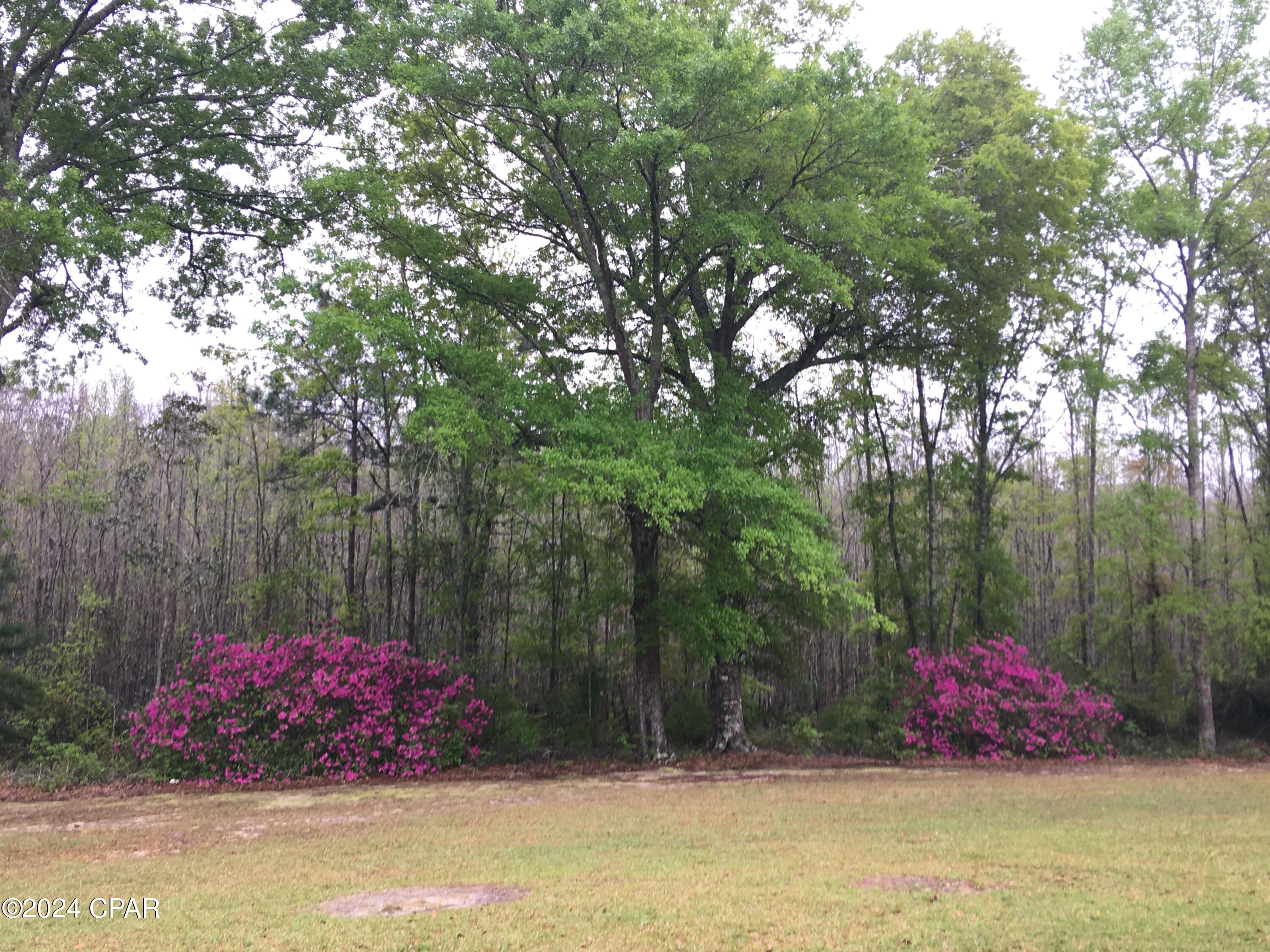 Russ Lake Estates - Residential