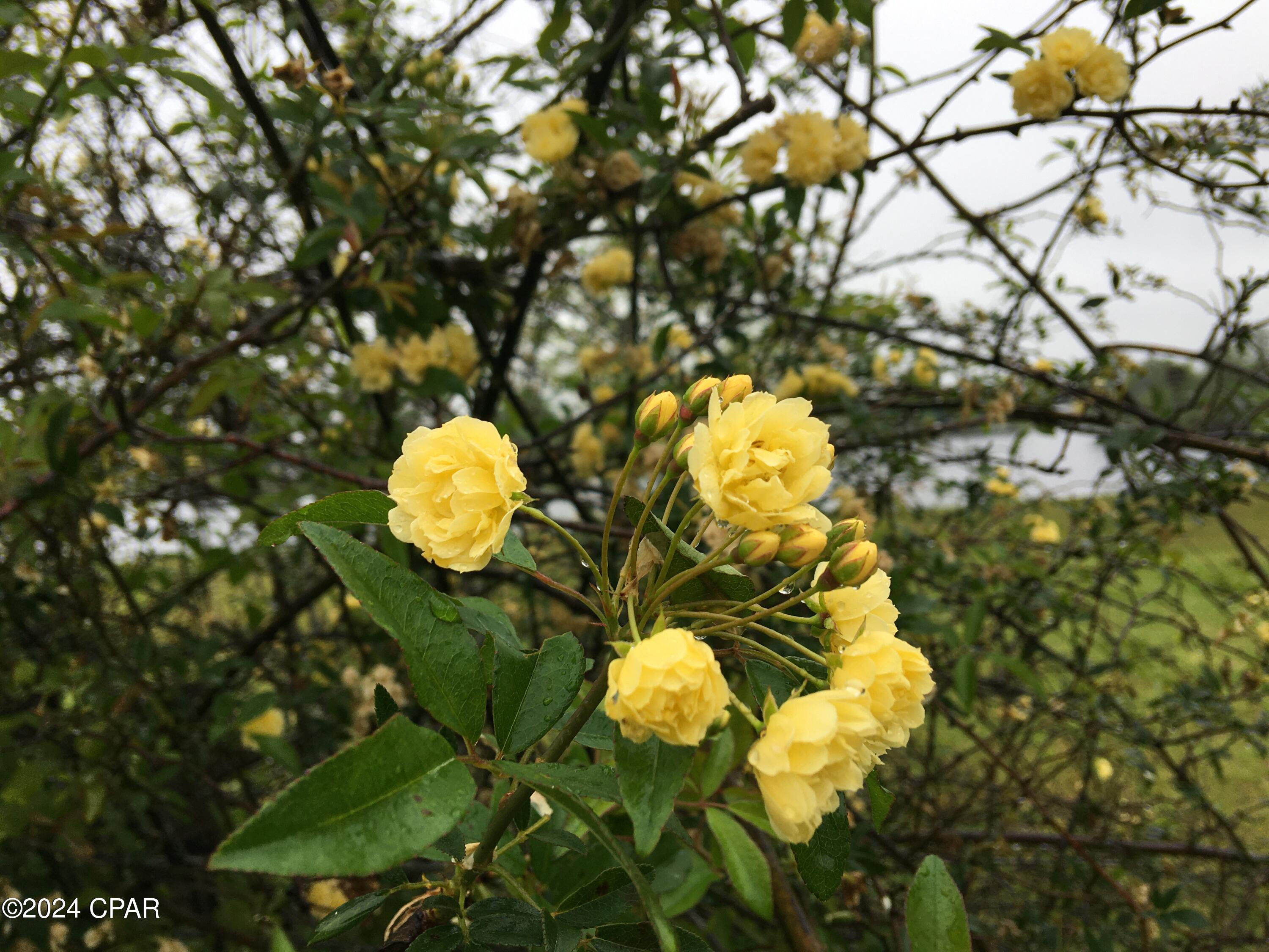 Russ Lake Estates - Residential