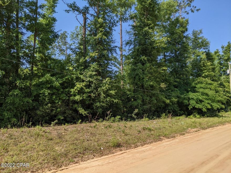 All sizes are apx taken from tax rolls---6 lots --looks to be high and dry--BEST PRICE IN BAY COUNTY--owner will not subdivide or split--all 6 or none!!!  Great area to live and plant a garden---nice homes around--neighbors and small creek close by!