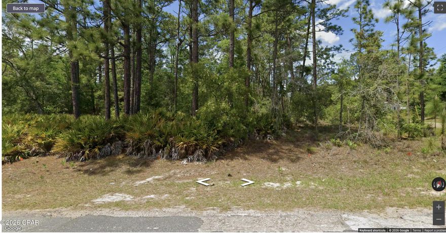 This is the perfect vacant lot to build the dream home! Citrus Springs is a growing community, it's a short drive to the beautiful Rainbow Springs State Park. Have fun outdoors with your family and friends, boating, tubing, swimming, golfing, biking, or you can just relax by the river and enjoy the scenery and fresh air. Also very close to Inverness; famous for its freshwater fishing, kayaking, lakefront shops, restaurants, parks and lodges. Easy access to both US41 and US44 means local nature reserves and the Withlacoochee River are nearby with miles of hiking trails. In addition to Inverness; Ocala, Tampa, The Villages, Wildwood and Lake Panasoffkee are all an easy commute from this location. No flood zone, no HOA fees, and low taxes!