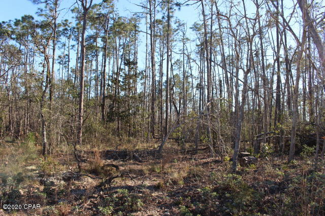 Compass Lake In The Hills - Land