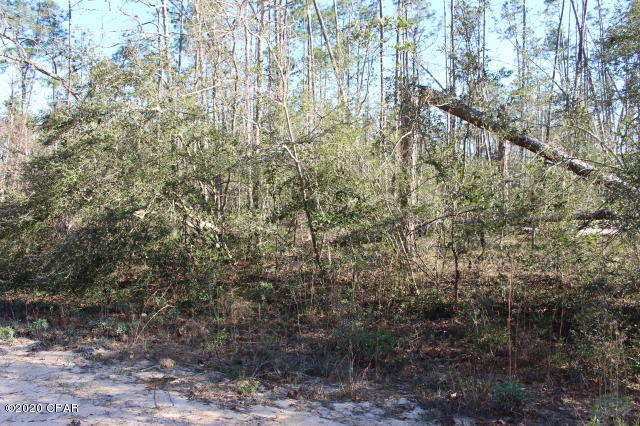 Compass Lake In The Hills - Land