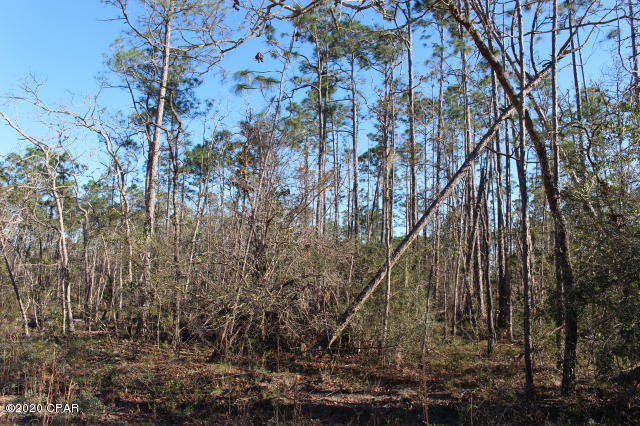 Compass Lake In The Hills - Land