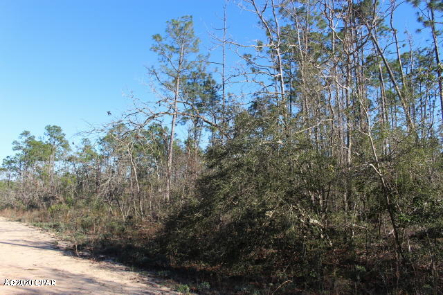 Compass Lake In The Hills - Land