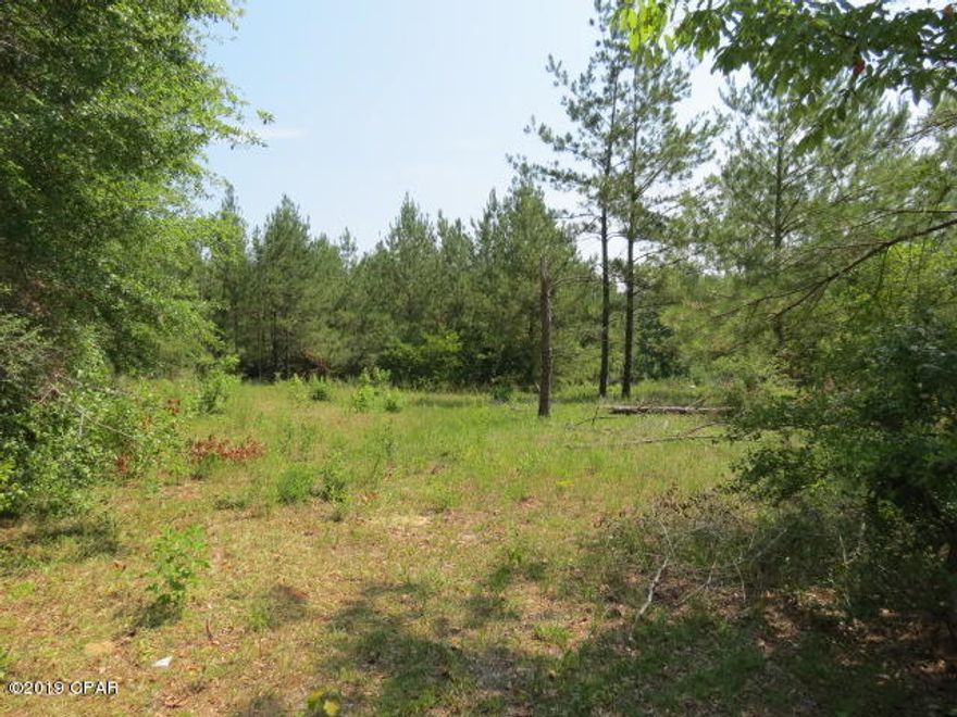 Wooded country setting with this 5 acre tract to build your dream home or put a mobile home. Property has well.