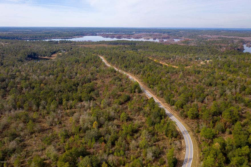 Pretty wooded parcel waiting for you to carve out your homesite.  No restrictions for a little piece of the Countryside.  Easy access to town, schools and the beaches.  Come take a look, we won't mind.  Owner financing available with 20% down, additional property available.