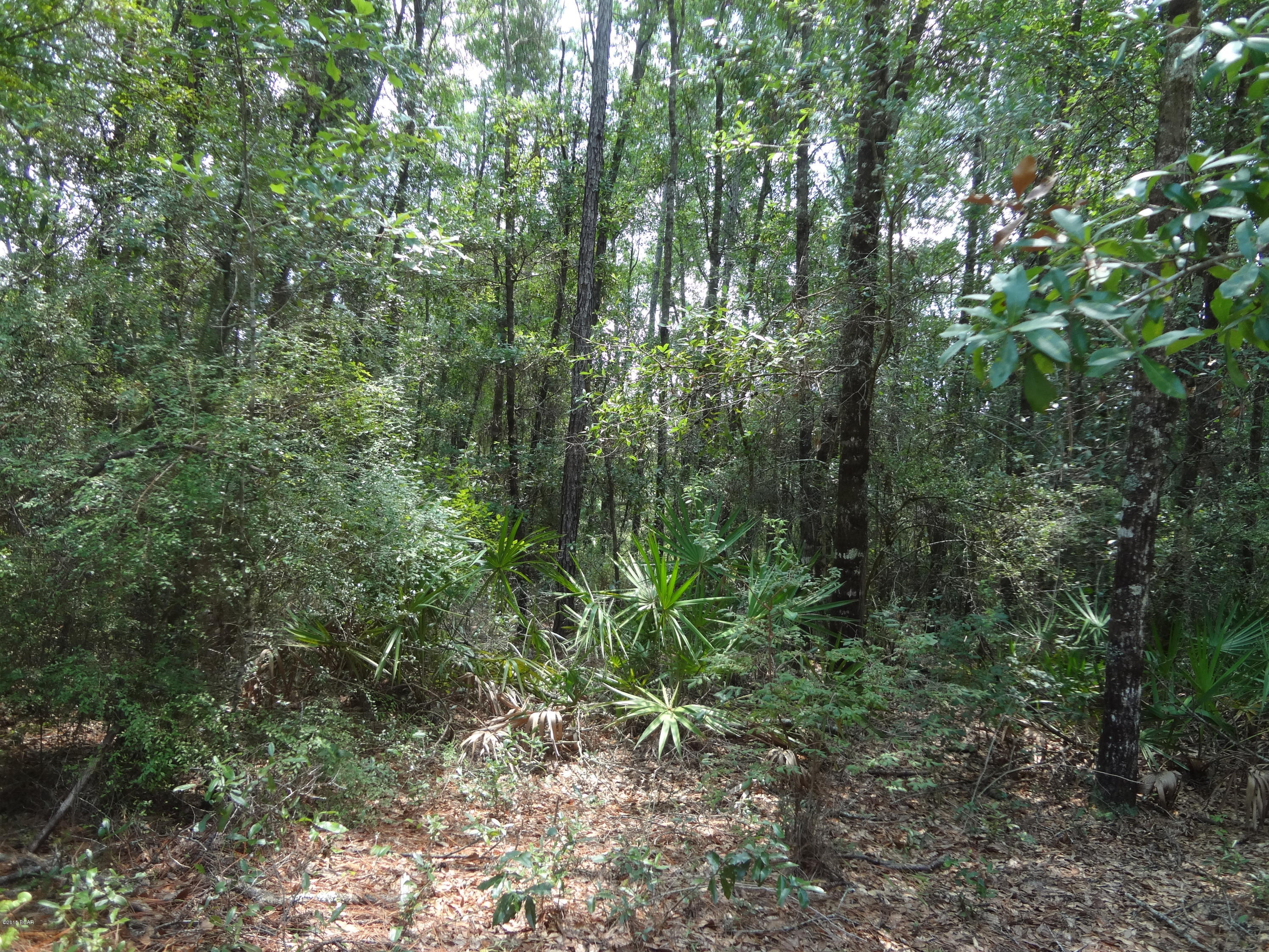 No Named Subdivision - Land