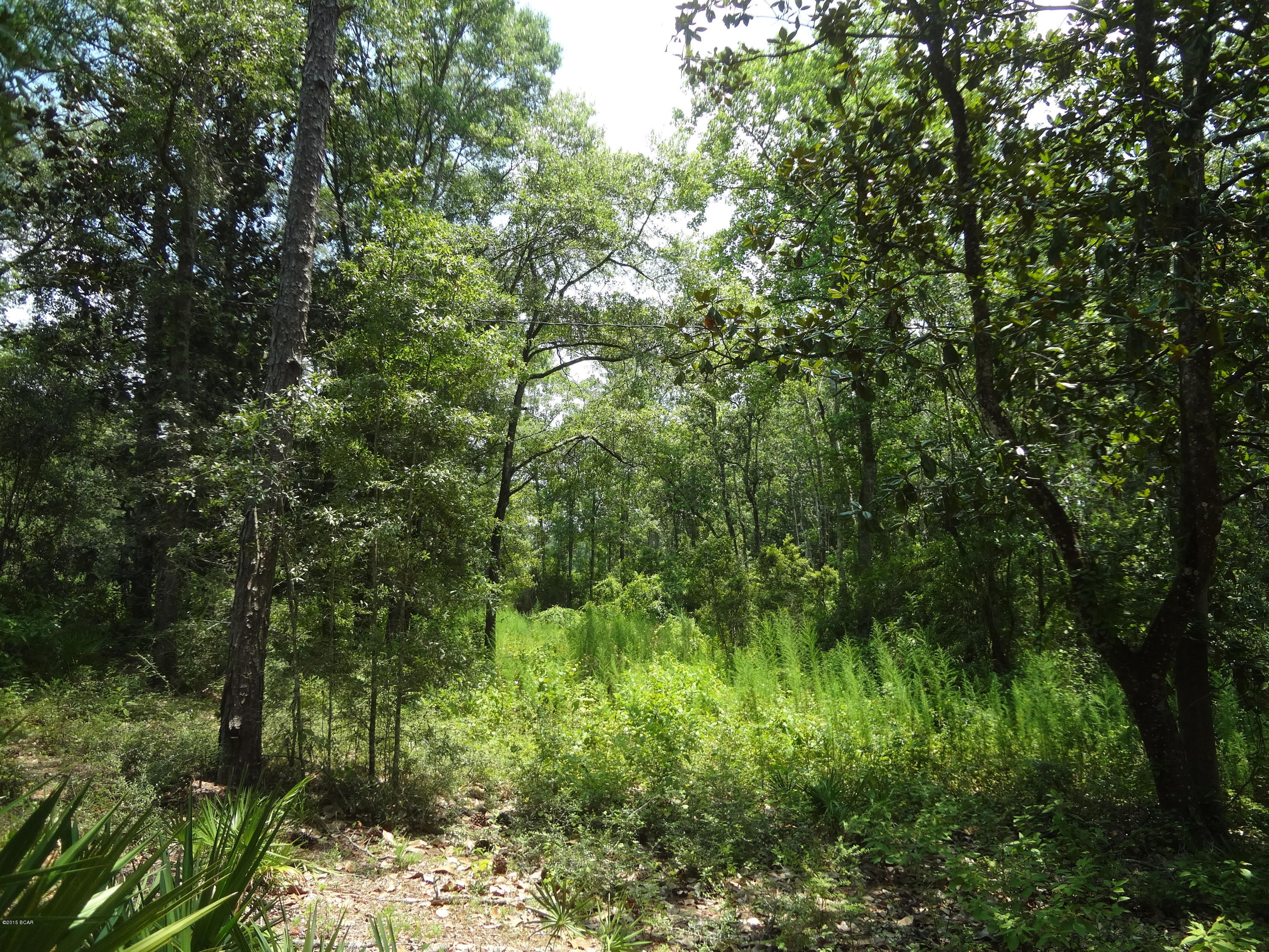 No Named Subdivision - Land