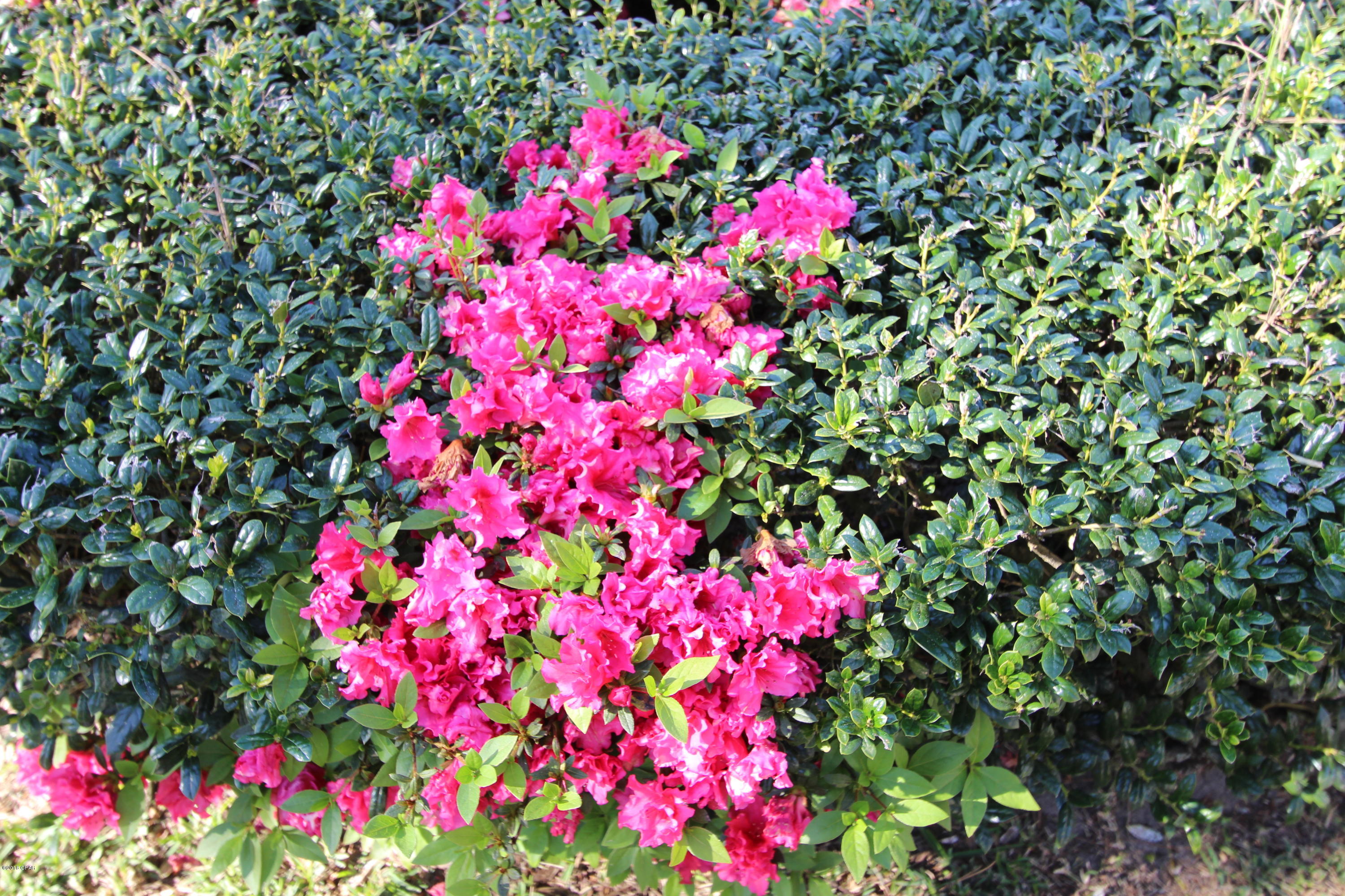 The Glades - Residential