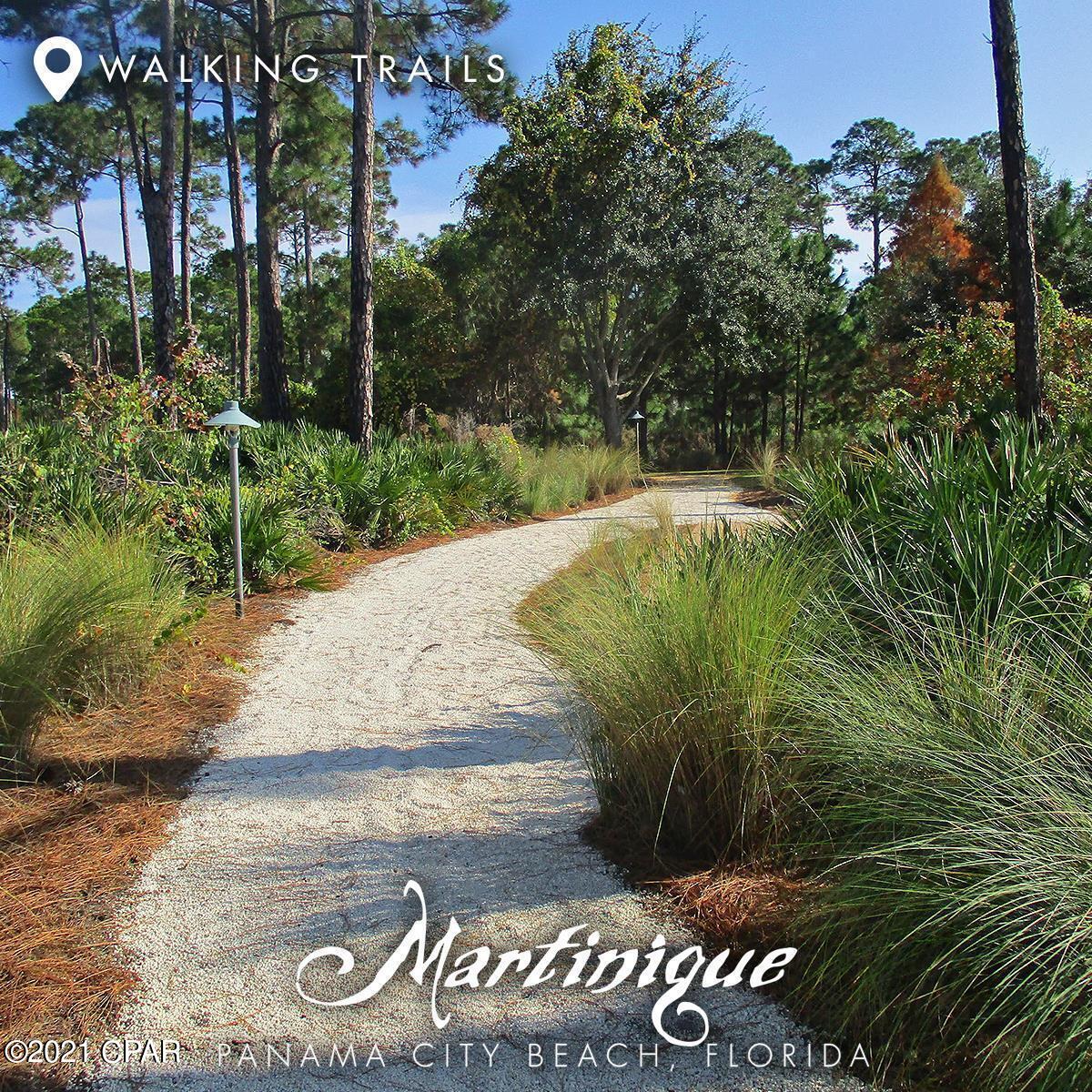 Martinique Phase II - Land