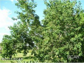 Laguna Beach Estates 8th Add - Land