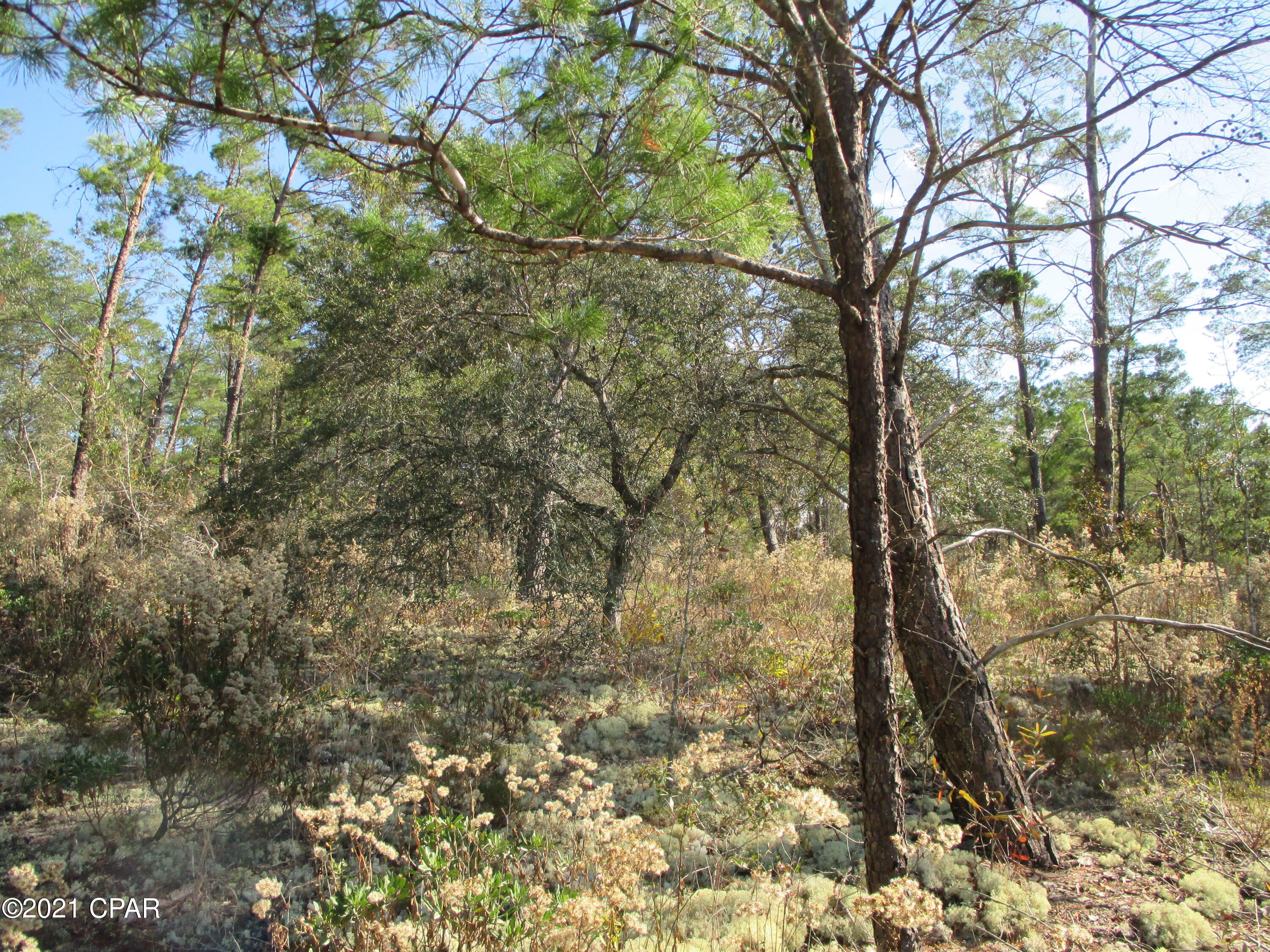 [No Recorded Subdiv] - Land