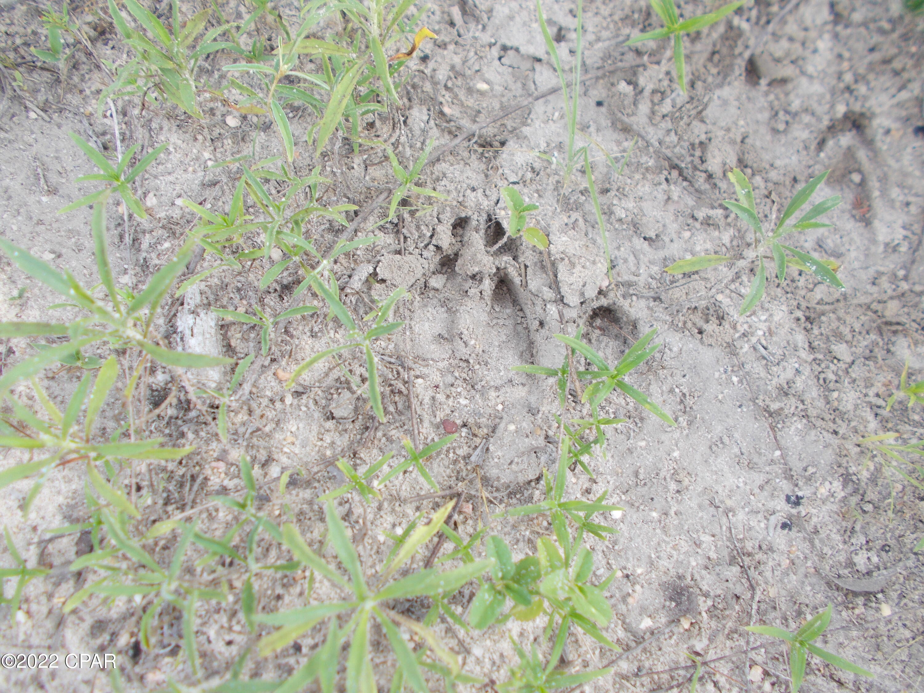 No Named Subdivision - Land