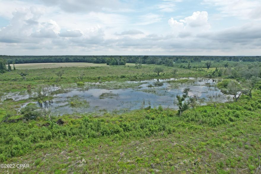 Peaceful, quite 2300 ft of road frontage, about 4 ac MOL of Cedar Pond on this parcel. mostly cleared small oaks on the land, quiet country setting No restrictions, build your dream home, mini farm, hunting tract, dream it and you can do it on this property, lots of deer in the area. call agent to view this property