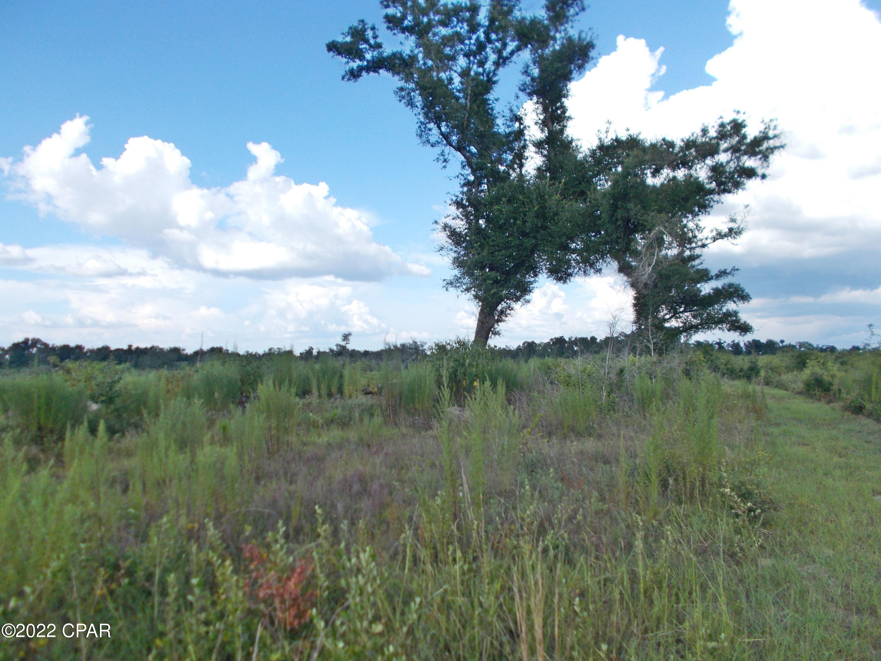 No Named Subdivision - Land