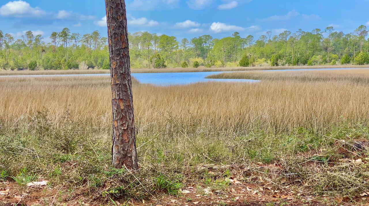 Burnt Mill Creek - Residential