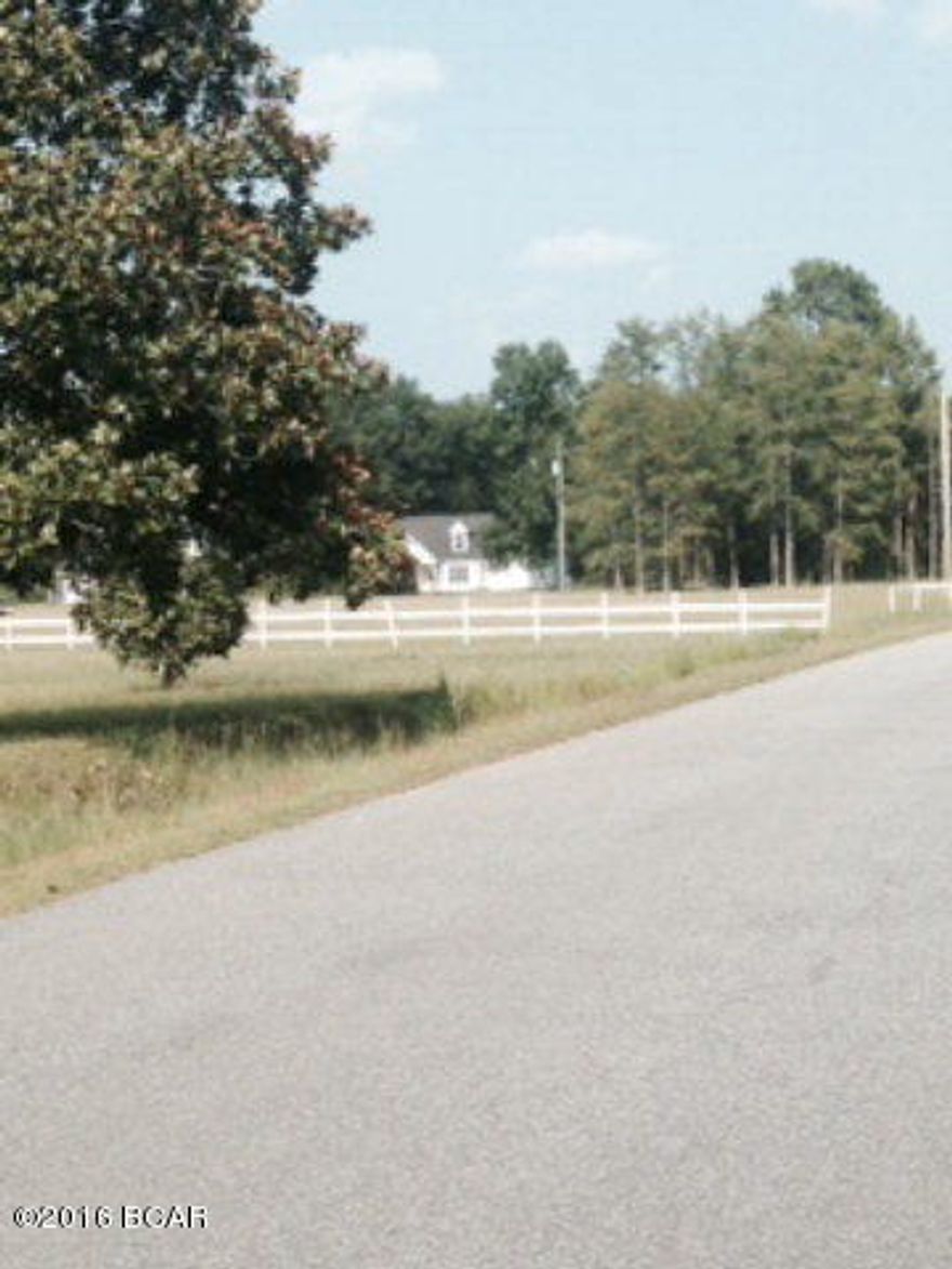 WITH 2.36 ACRES IN THE CITY LIMITS OF CHIPLEY, THIS IS A RARE FIND!! Property is cleared and ready to build your new dream home or with a possible zoning change you could divide into lots and have a great investment!! Paved road frontage on two sides.