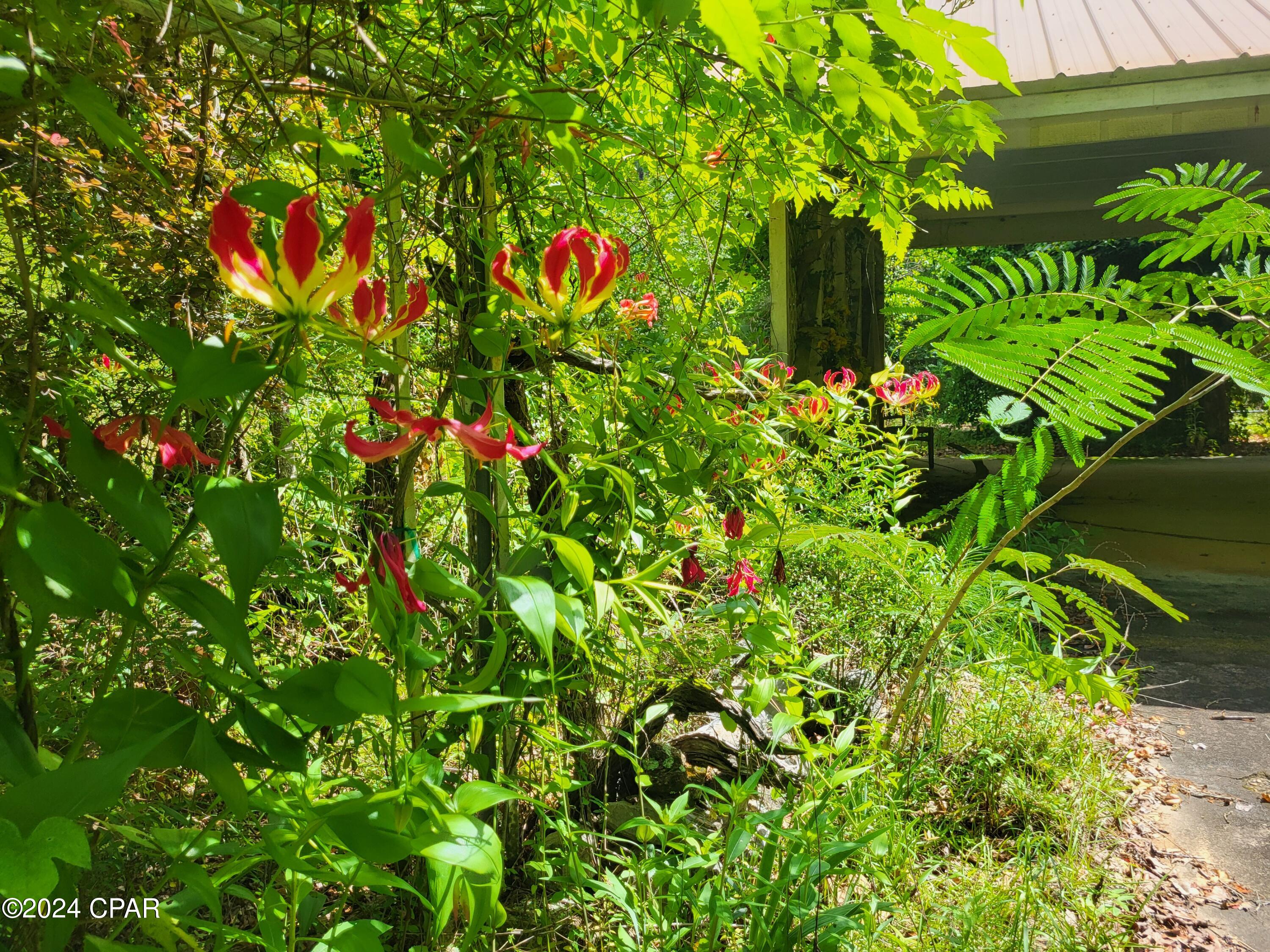 No Named Subdivision - Land