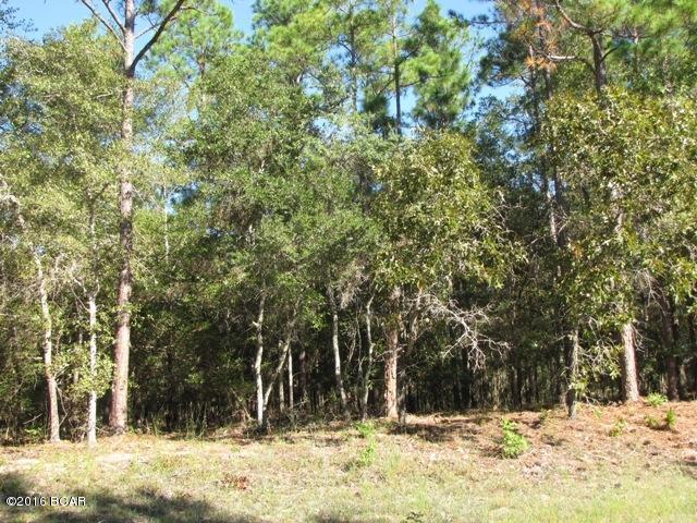 Compass Lake In The Hills - Land