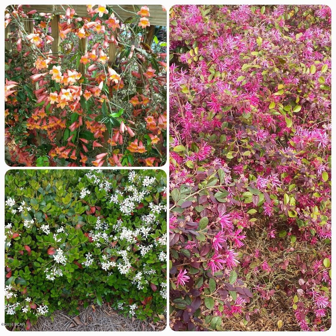 Magnolia Place - Residential