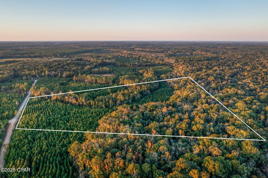 Escape to your own private retreat with this beautiful 25+/- acre wooded parcel, ideally located just minutes from Hwy 277. Whether you're dreaming of building your forever home, creating an investment property, or simply enjoying a peaceful weekend getaway, this property offers endless possibilities. The mature trees provide privacy and natural beauty, while the convenient location keeps you close to everyday essentials. Best of all, you're only about 50 minutes from 'The World's Most Beautiful Beaches,' making it easy to enjoy the best of both country living and coastal fun! Don't miss this rare opportunity to own your own slice of Northwest Florida paradise.