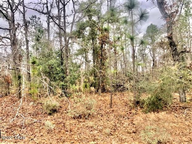 Compass Lake Hills Unit 3 - Land