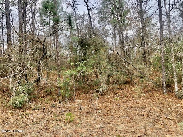 Compass Lake Hills Unit 3 - Land