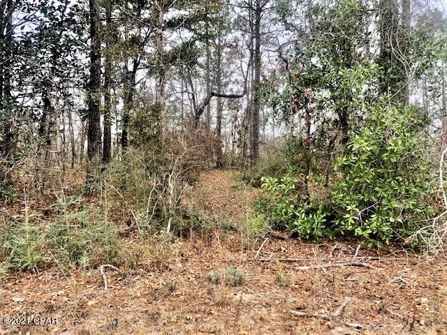 Compass Lake Hills Unit 3 - Land