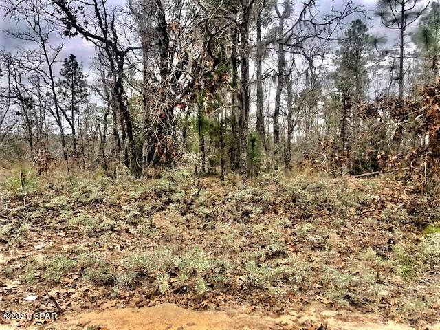 Compass Lake Hills Unit 3 - Land