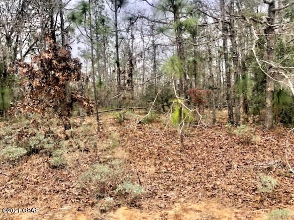 Compass Lake Hills Unit 3 - Land