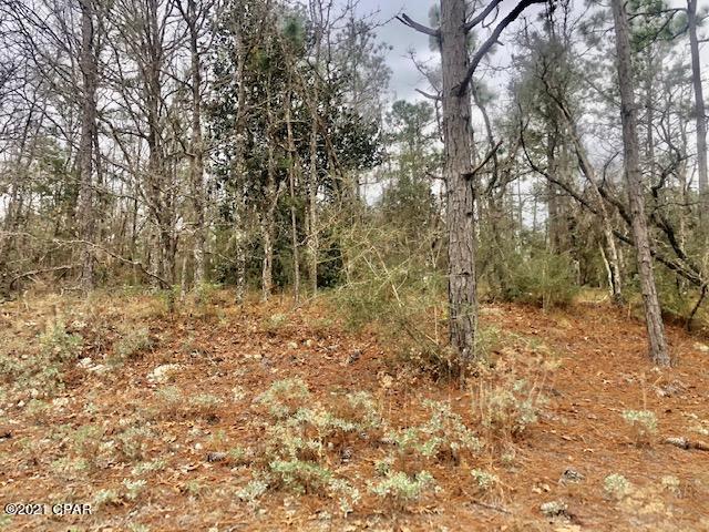 Compass Lake Hills Unit 3 - Land