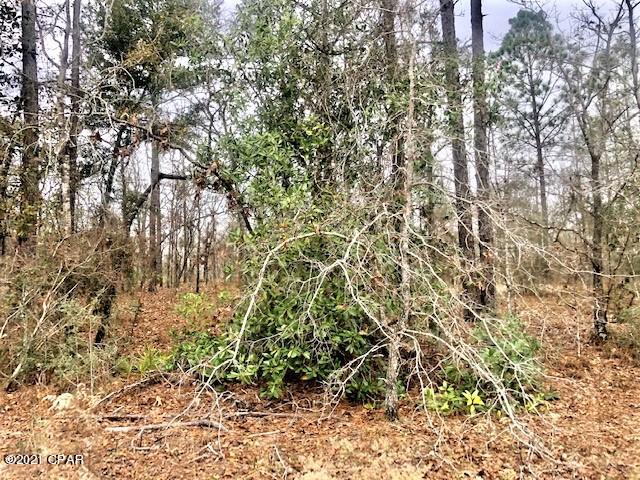 Compass Lake Hills Unit 3 - Land