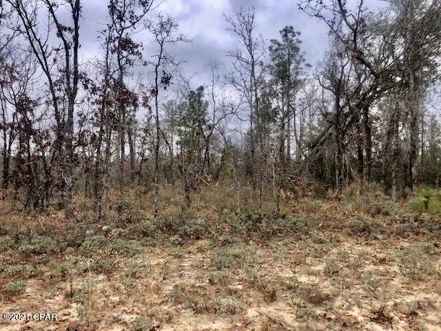 Compass Lake Hills Unit 3 - Land