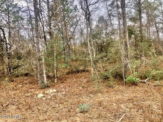 Compass Lake Hills Unit 3 - Land