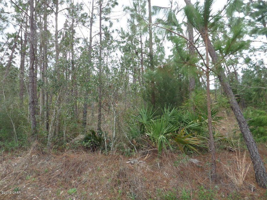 White Oaks Boulevard is dead end so traffic is limited. Go have a look!!!!!  The frontage on this lot is more than many others in this subdivision, it still has good depth as well.  No HOA fees. Building plans will need to be approved. Compare to the area this could be your answer to a new home. Some have stated that this is a well kept secret for out of town living.