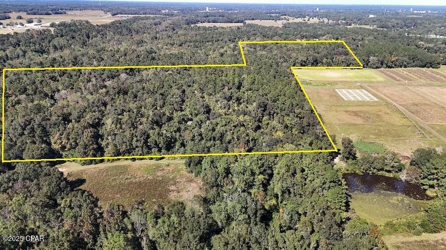 Looking for a great tract of undeveloped land? Then you'll not want to miss out on this North Florida acreage that offers a mix of timber, water, and wildlife with potential for residential and recreational use. The tract features mature pine and hardwood stands, including some old-growth trees estimated to be more than a century in age. A perennial creek runs through the northern section of the property, providing a year-round water source while it enhances the land's natural setting. The property also adjoins a sizable agricultural field managed by the University of Florida, further contributing to wildlife activity in the area. And of course, the diversity of this land provides the ideal setting for an abundance of whitetail deer, turkey, and hogs. Also, for hunters, there's the convenience of town and the interstate which is only minutes away. No matter if you're looking to build, hunt or recreate, this beautiful tract of land just might be for you.  Give us a call today and schedule your private tour.