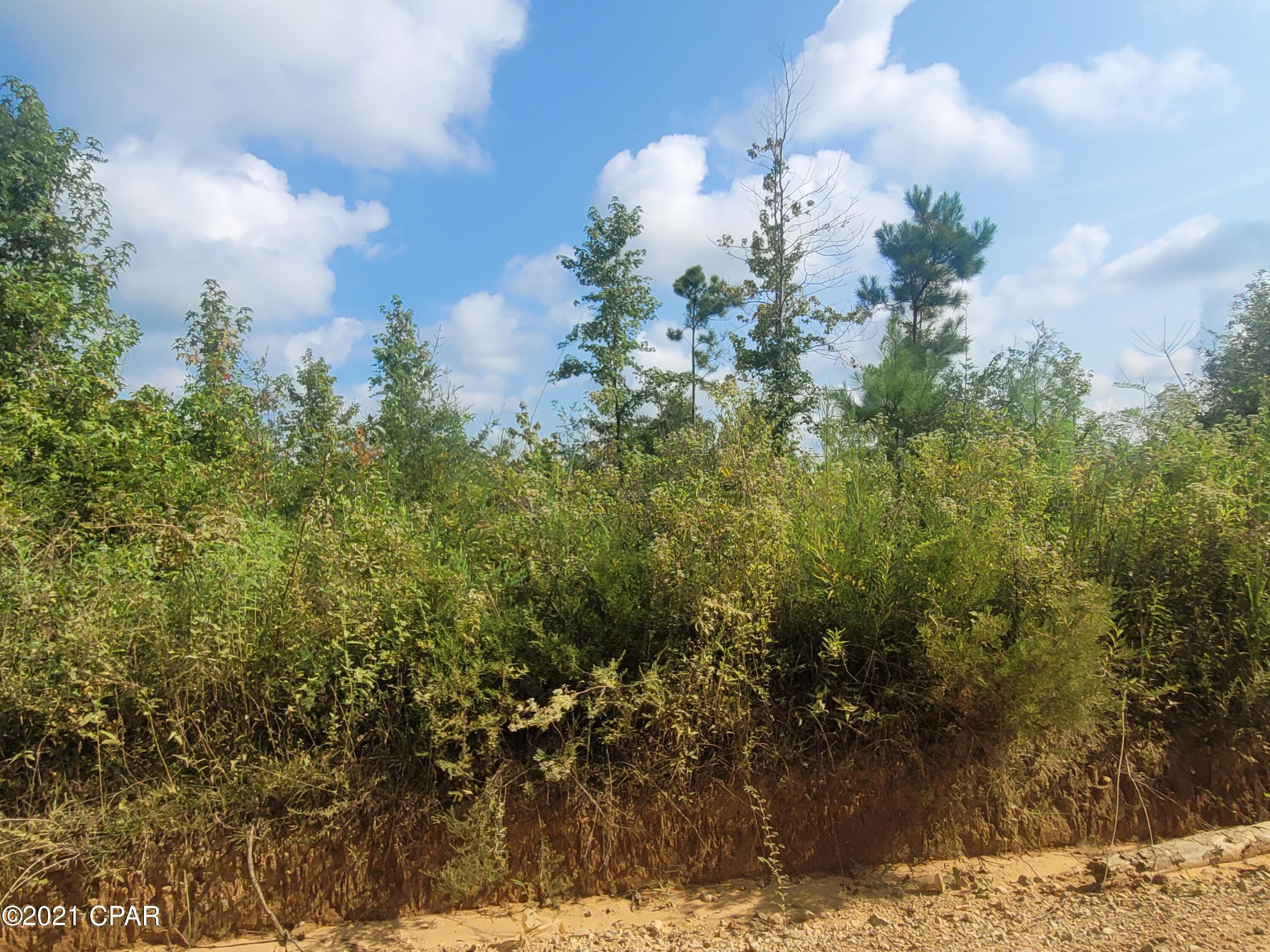 No Named Subdivision - Land