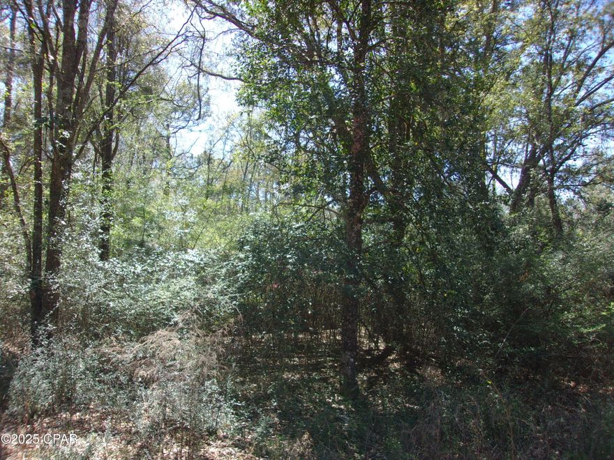 Discover a hidden gem on 5 expansive acres of serene wooded land, perfect for your dream getaway or future homestead. This property features remnants of a charming old home site, complete with an existing well and septic system, offering a head start for your plans. Enjoy the convenience of being situated on a paved road, just 5 miles from town, ensuring easy access to amenities while still embracing the tranquility of nature. Plus, with beautiful Panama City Beach only 45 minutes away, you can easily indulge in sun-soaked days by the ocean. Don't miss your chance to own this slice of paradise, where you can create lasting memories surrounded by the beauty of the great outdoors!