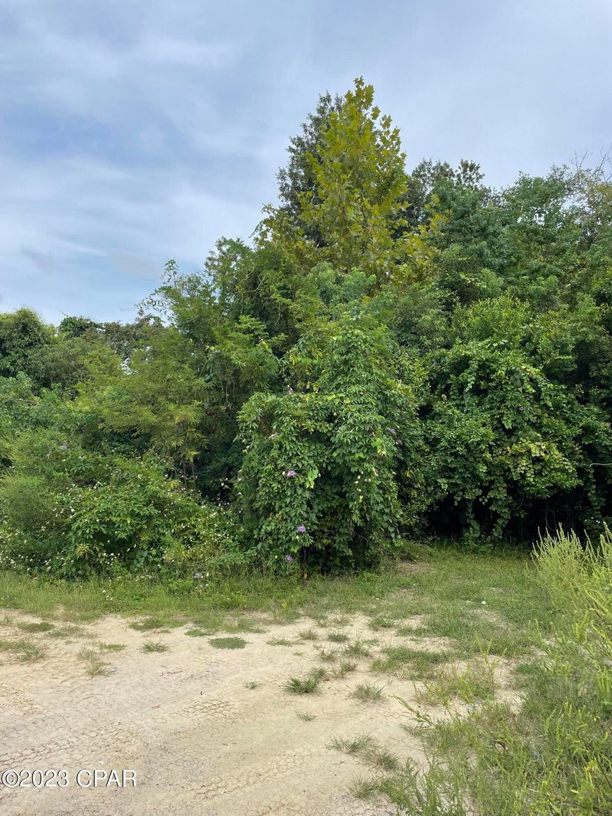 ATTENTION INVESTORS!! Grab this opportunity to get a vacant lot for your next build or investment property! Located in Springfield close to the bay and Tyndall AFB.