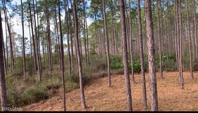 Rivercamps On Crooked Creek - Land