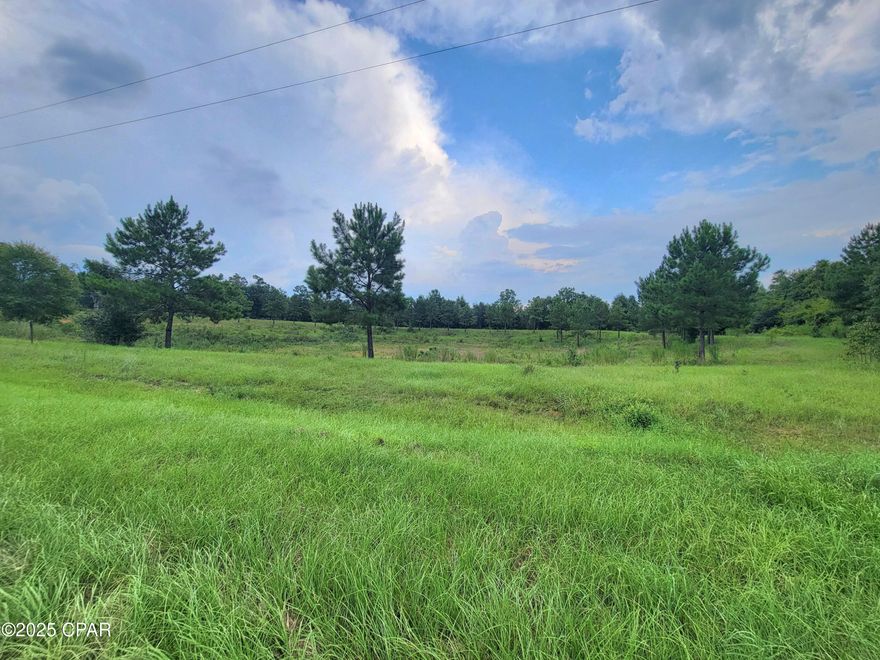 Enjoy peaceful country living on this 10-acre property featuring a private pond, partially wooded areas, and open space ready for your vision. Located on a paved road, the property is already equipped with a well and power. Light deed restrictions help maintain the beauty and value of the area, with no mobile homes allowed. A current survey is available, making this property ready for your dream home, farm, or weekend retreat.